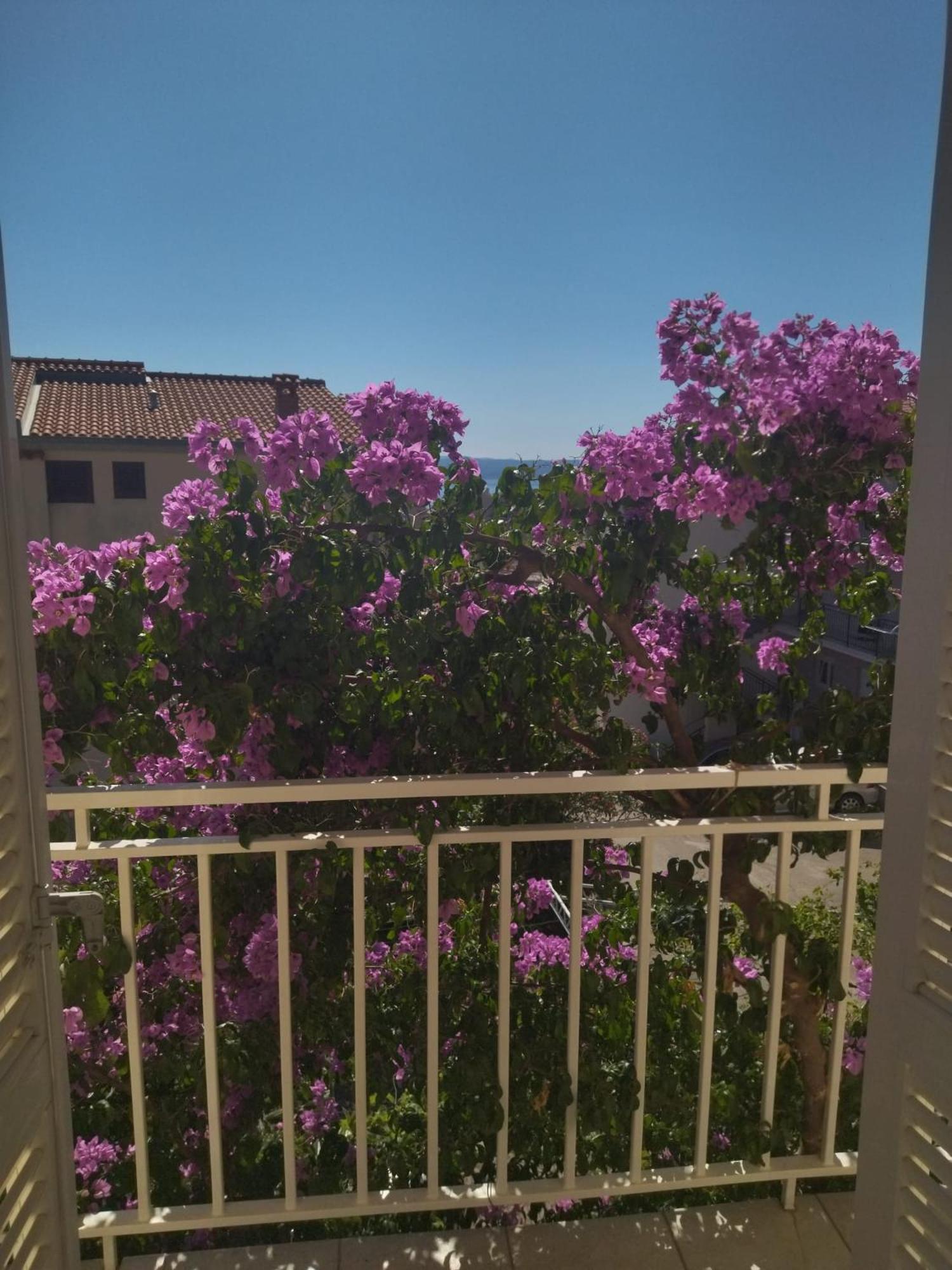Apartmani Makarska Exteriör bild